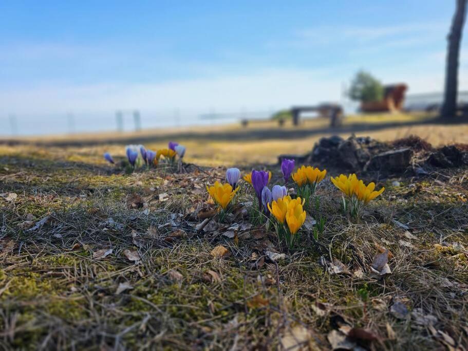 Rannamaja Kuemblustuenni & Saunaga * Haapse